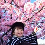柏桜台保育園に見学へ行ってみたまとめ